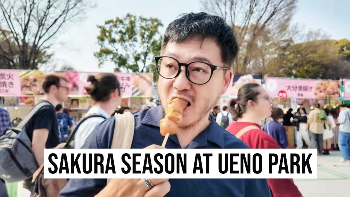 Tokyo’s Ueno Park During Cherry Blossoms! | Street Food + Spring Vibes