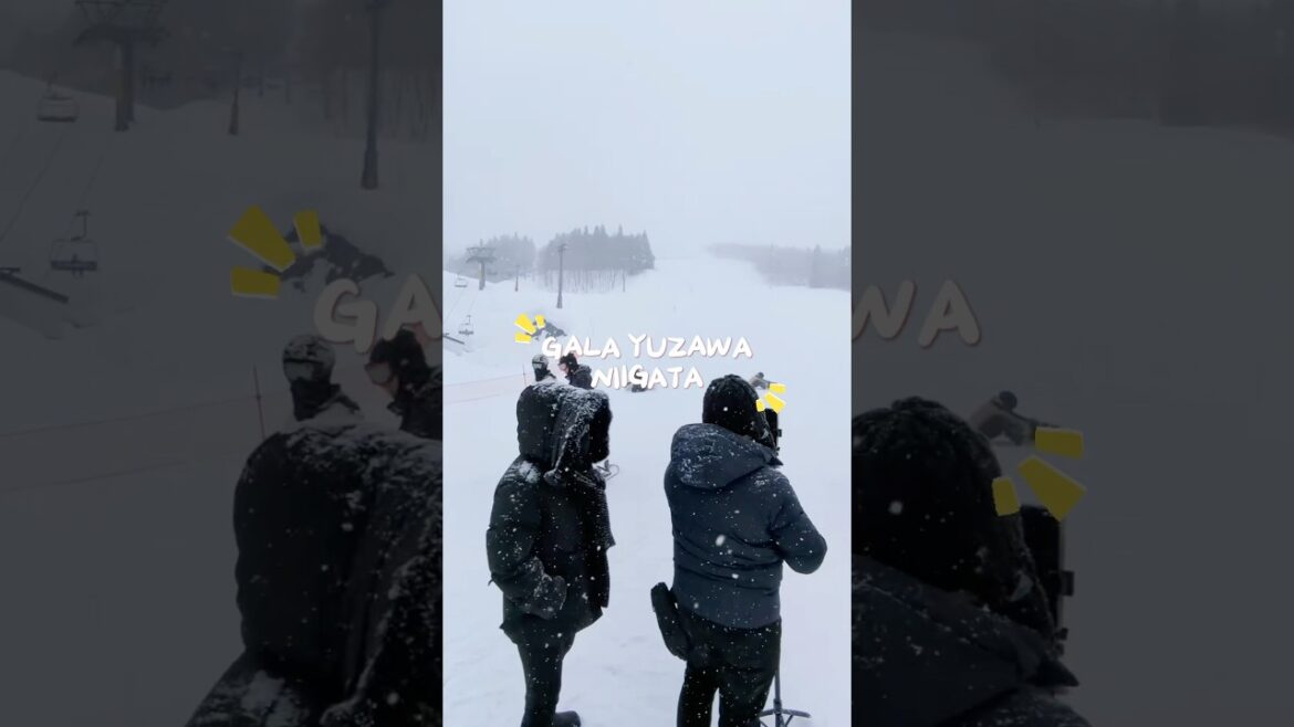 SALJI LEBAT NI GALA YUZAWA #travel #japan #jepun #galayuzawa #niigata