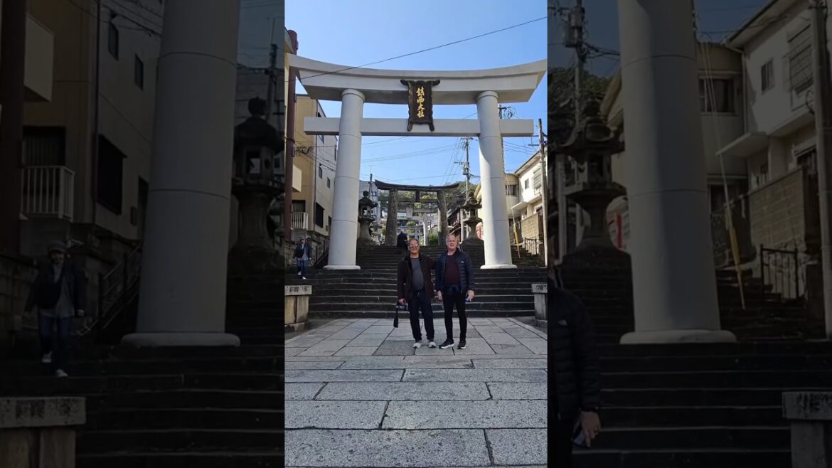 Going up to Suwa Shrine (17th century) with the guys we met from Cunard ship #shorts Going up to Suwa Shrine (17th century) with the guys we met from Cunard ship #shorts