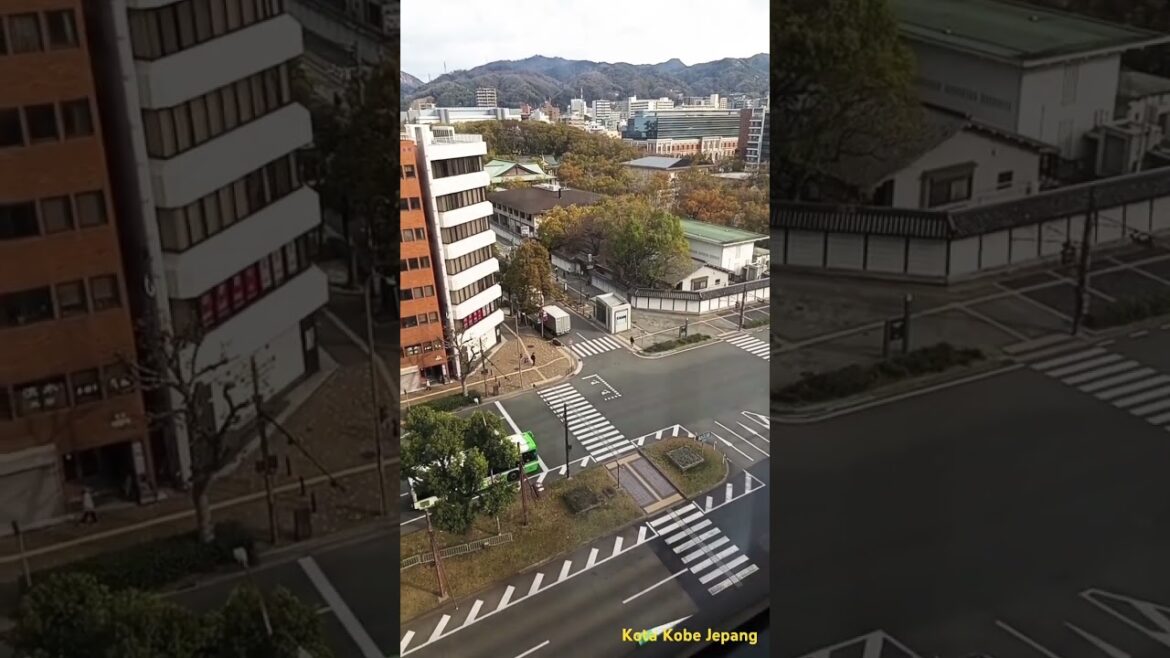 Pemandangan Keren Lalu Lintas Kota Kobe Jepang Dari Atas Gedung#shorts