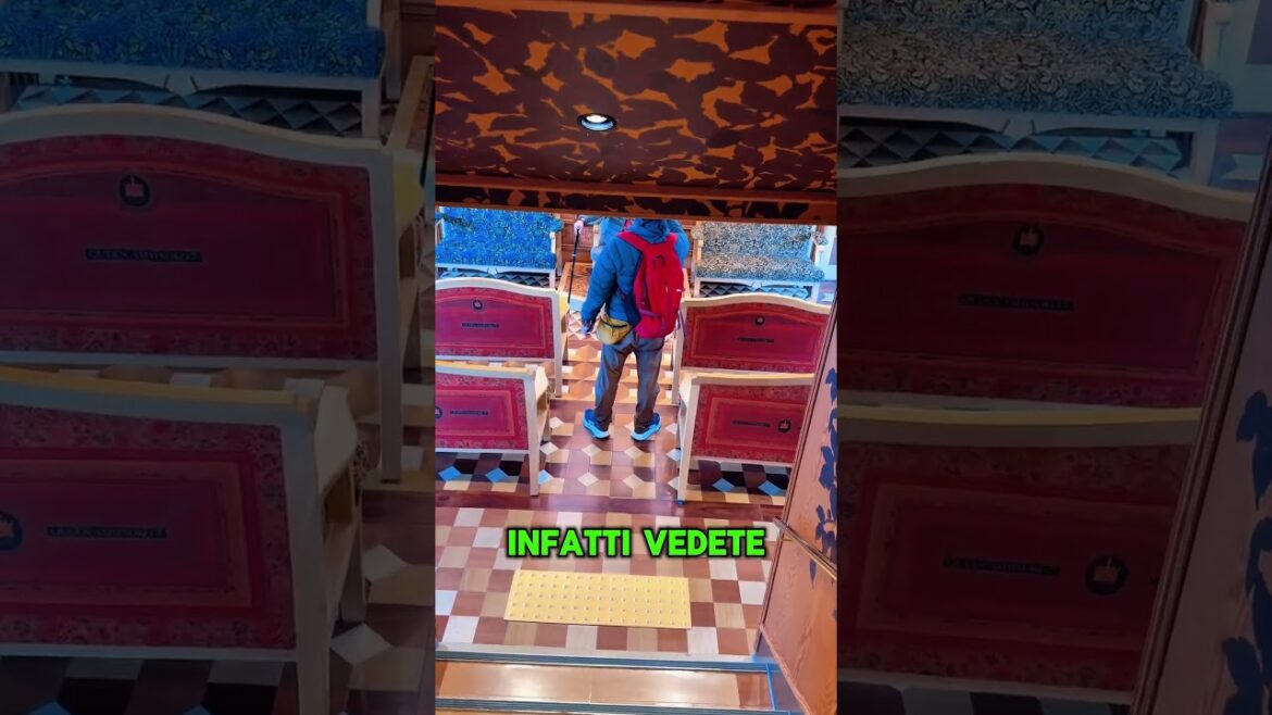 ⚓️ Dentro la Queen Ashinoko! #giappone #travel #viaggiare