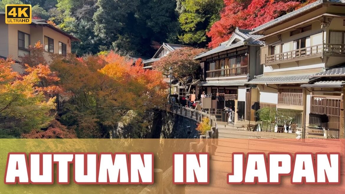Autumn Colors in Japan – A Quiet Journey Through Minoo Park – 箕面公園 Autumn Colors in Japan – A Quiet Journey Through Minoo Park - 箕面公園