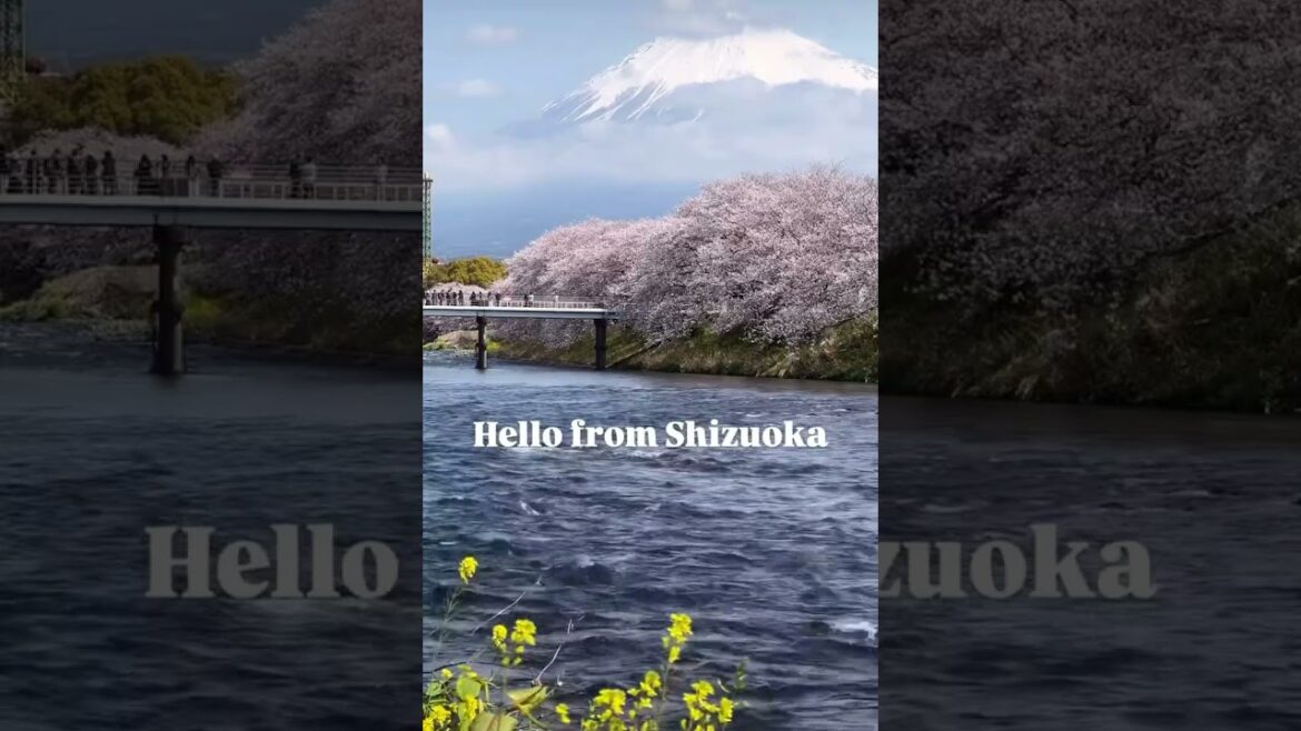 Too beautiful to be your wallpaper #shizuoka #mountfuji #nature #thrilling #peaceful #japan #shorts