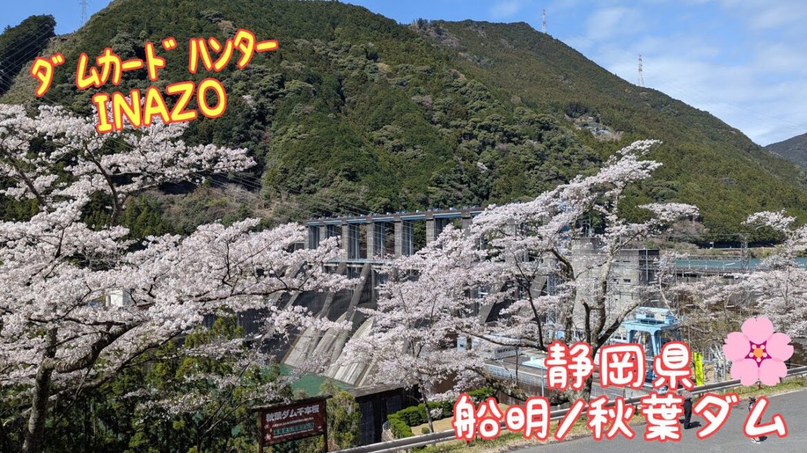 ダムカードハンターINAZO　お花見にGO❗️静岡県　船明/秋葉ダム