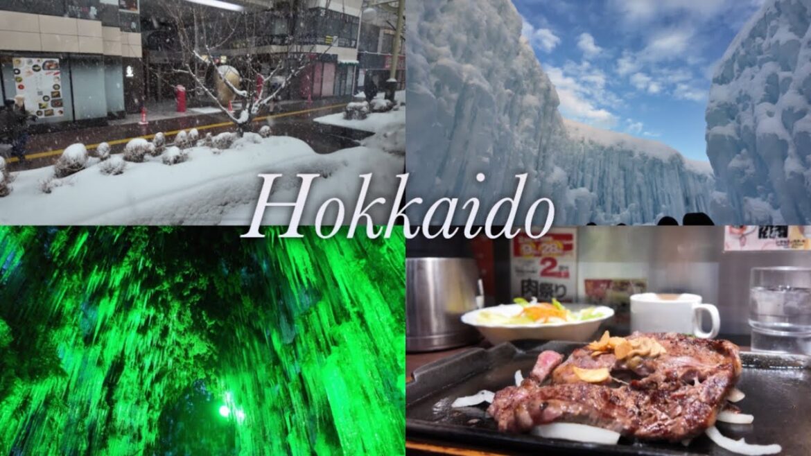 Winter Day in Hokkaido & Shikoku ᯓ★ Onsen, Bears & Ice Festival