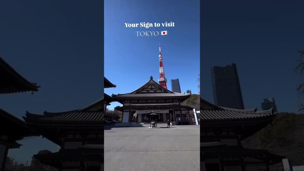 "Exploring Tokyo – Shibuya, Skytree, Asakusa & More | टोक्यो की फेमस जगहों की सैर!" #tokyodomecity