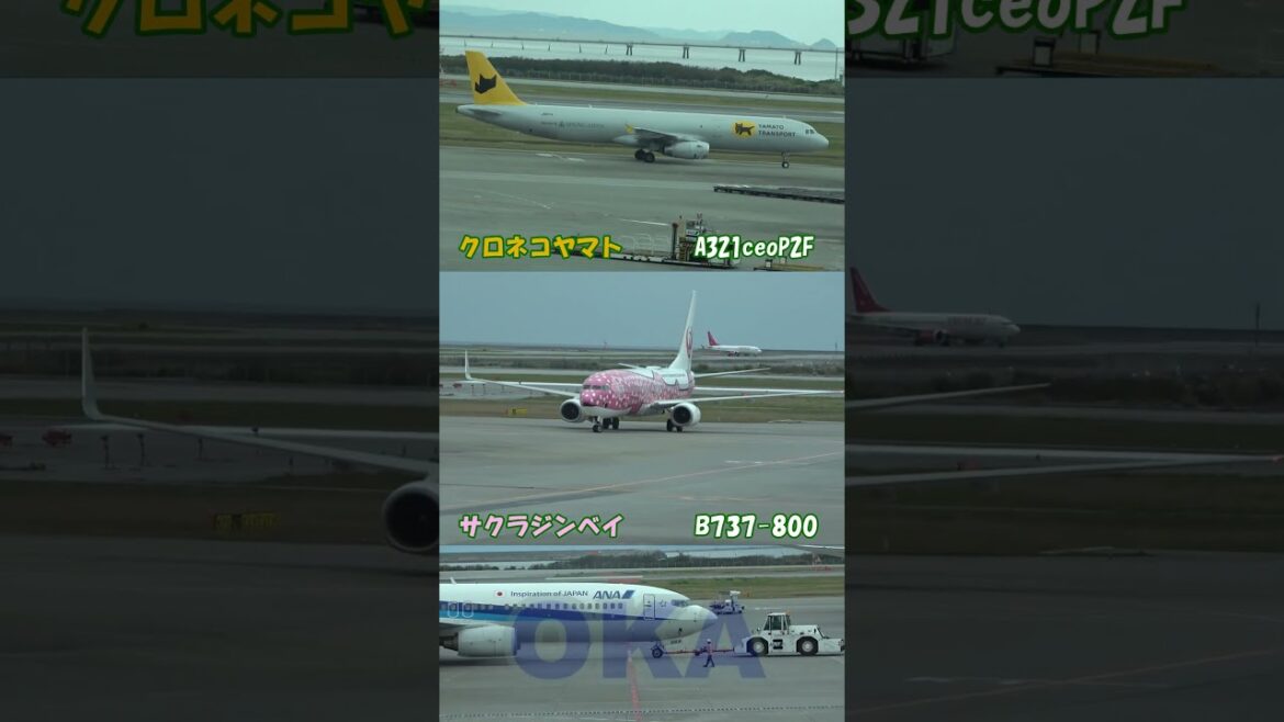 那覇 AP. OKA 那覇 AP. OKA