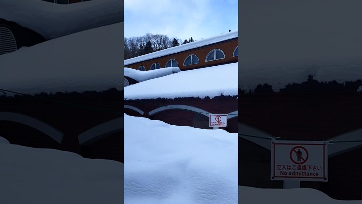 Takino Suzuran Hillside Park      #shorts #foryou #travel #snow #winter #waterfall #hokkaido #japan