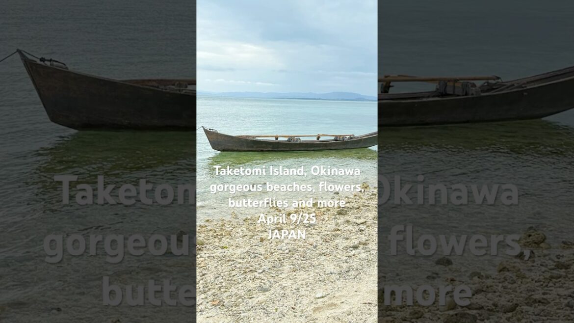 After the 5.4 #earthquake in #okinawa I spent Wednesday walking #taketomi Island. #starsandbeach After the 5.4 #earthquake in #okinawa I spent Wednesday walking #taketomi Island. #starsandbeach
