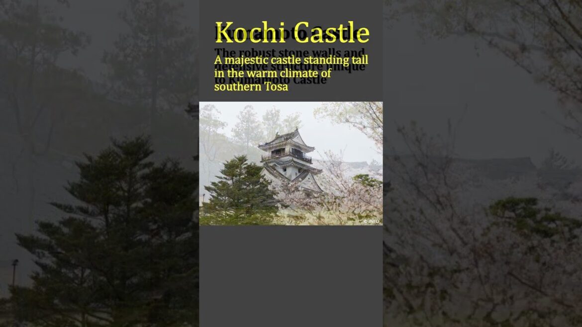 [9 castles surrounded by cherry blossoms in full bloom: a fantastical spring landscape]