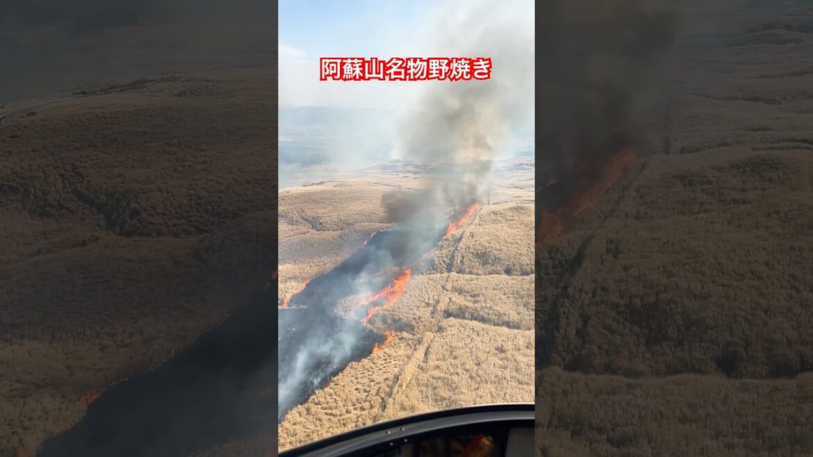 阿蘇山野焼き