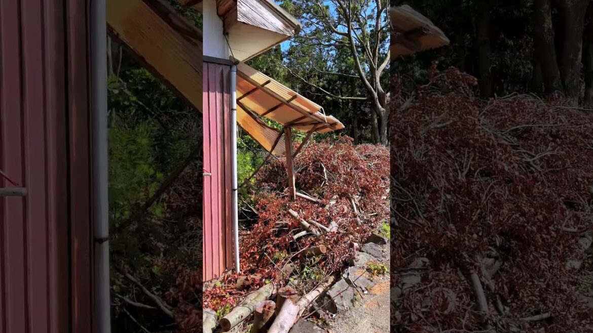 Japanese countryside: Tsukinoura, Minamata City, Kumamoto, Japan. #japaneselandscape