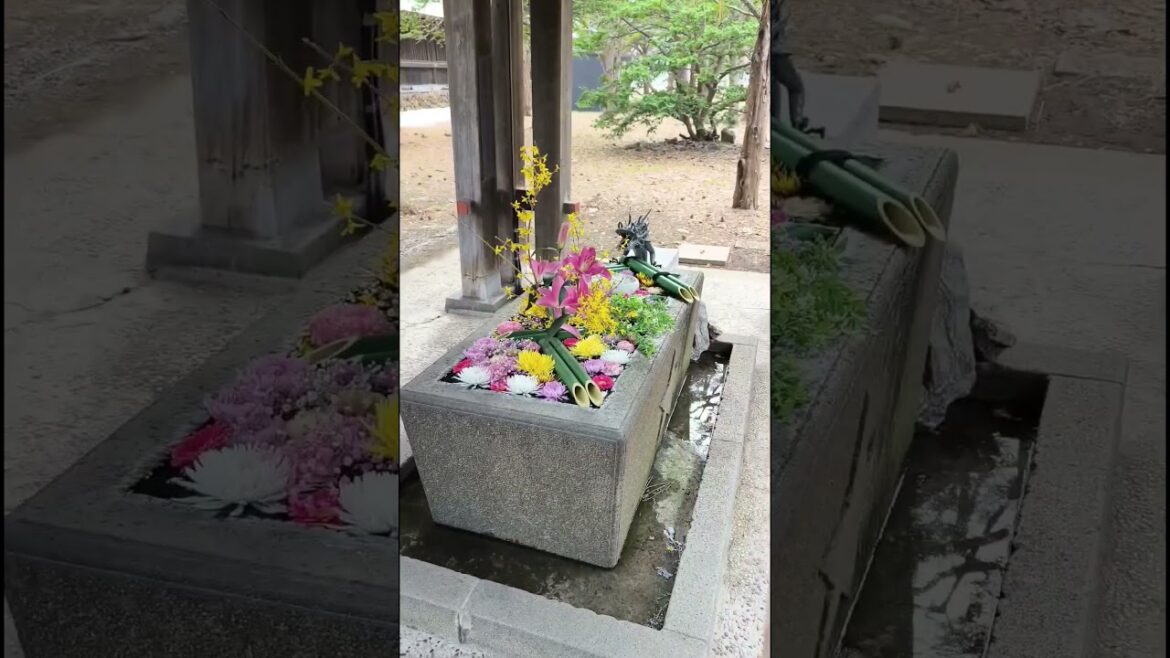 Sapporo Nakajima park #japan #travel #hokkaido #travelvlog #sapporo