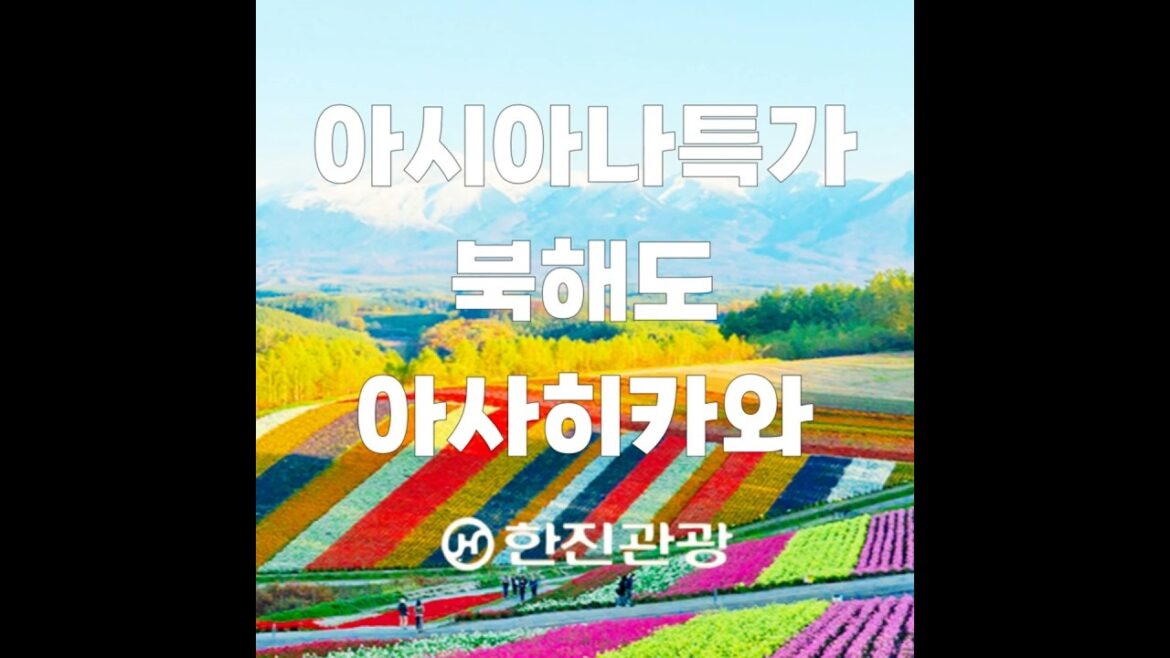 아시아나특가 봄여행 북해도패키지 봄바람 느끼러 북해도 아사히카와 고고 비에이 후라노