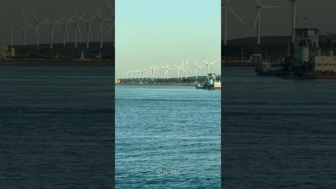 🇯🇵 Travelogue- Akita #japan #akita #cruiseport #秋田 #windturbine