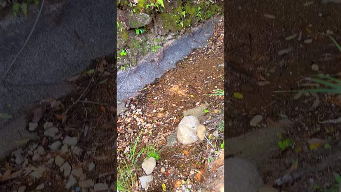 Japanese countryside: Nukudani, Minamata City, Kumamoto Pref, Japan. #japaneselandscape #travel