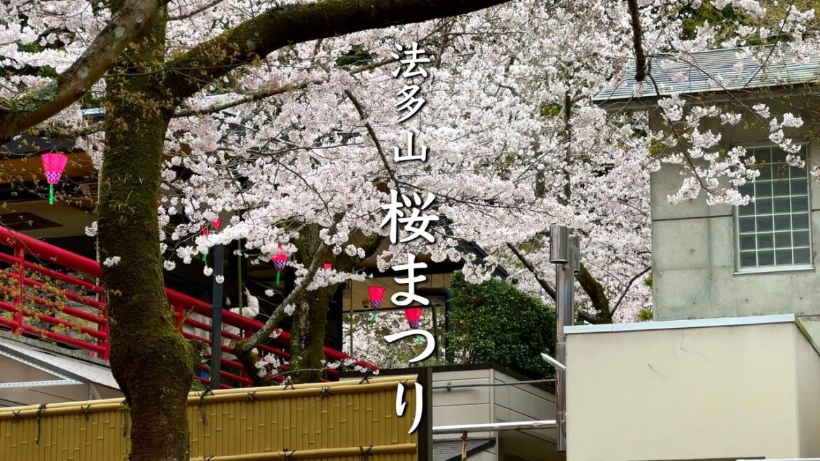 「曇り空と、桜の記憶」法多山の桜 「曇り空と、桜の記憶」法多山の桜