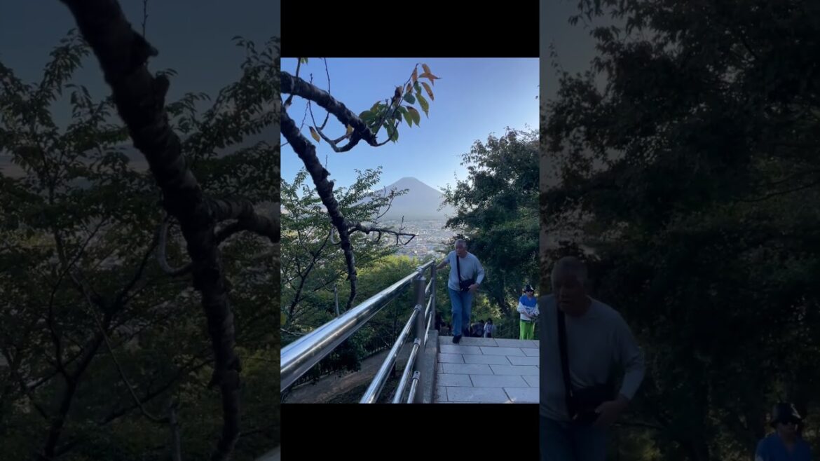 Chureito Pagoda view of Mt. Fuji