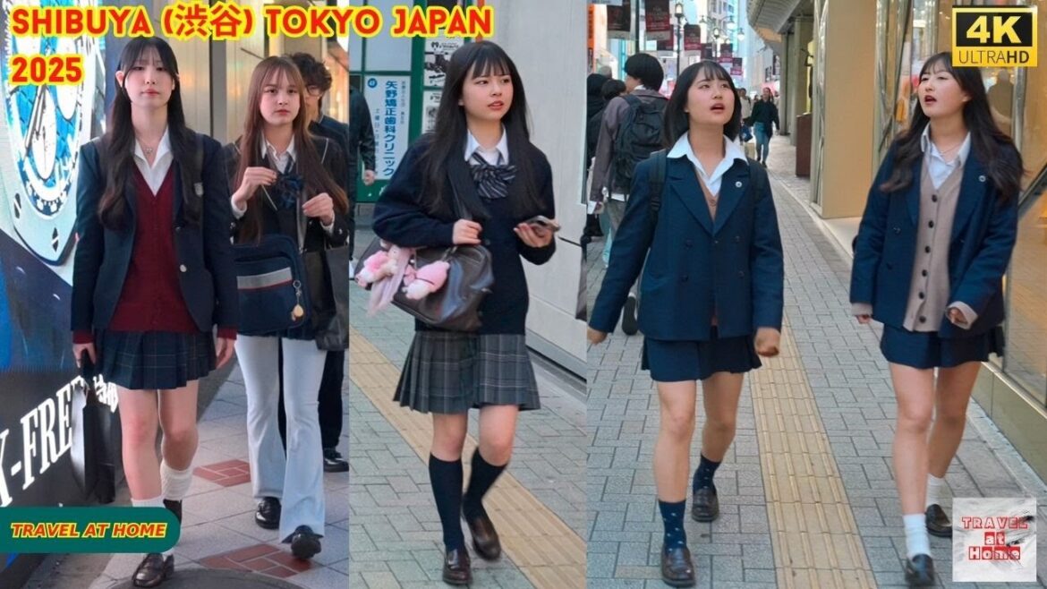 4K HDR Japan travel 2025 | Walk in Shibuya (渋谷) Tokyo Japan |  Relaxing Natural City ambience
