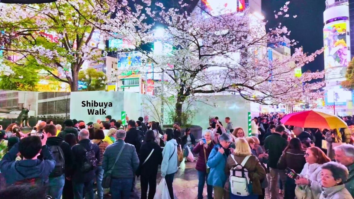 4K🤩So Many People!! Saturday's Super Busy Shibuya Crossing & Hachiko Square in Shibuya Tokyo Japan