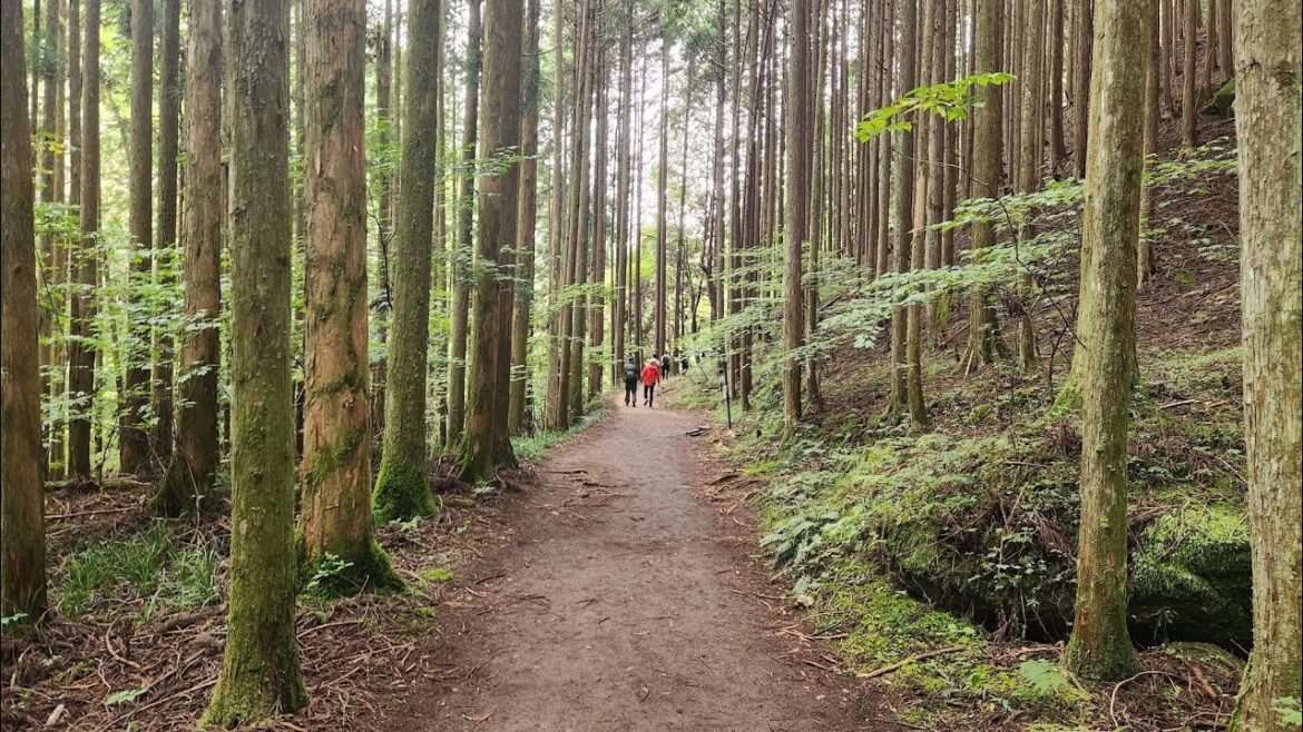 Walk the Nakasendo Trail