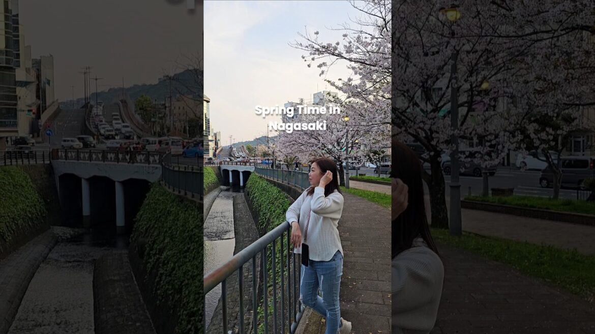 Nagasaki in Bloom: Peace, Food & Cherry Blossoms! #shorts