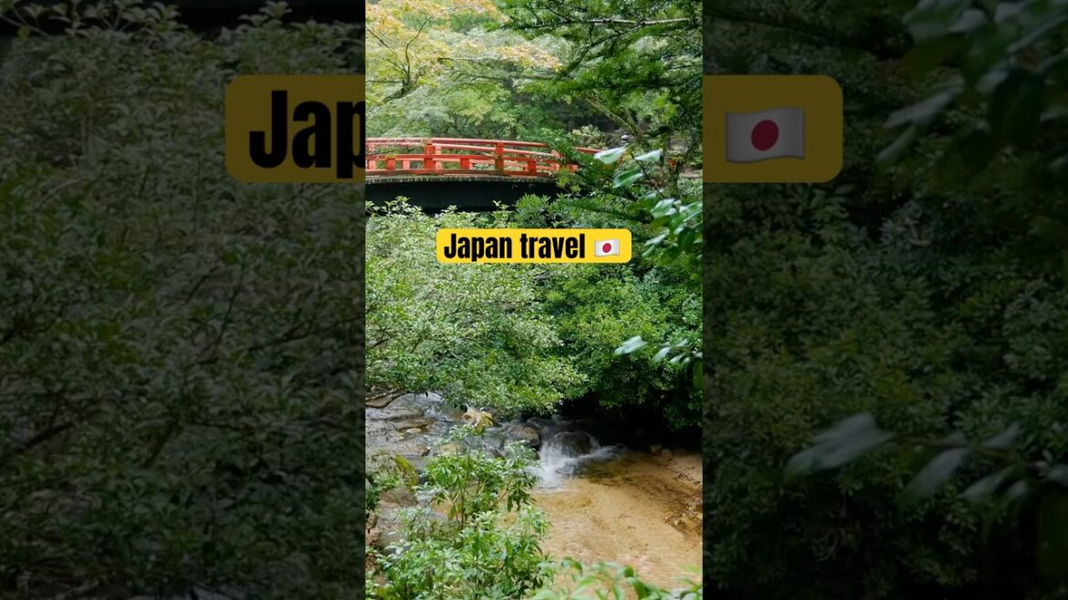 Japan’s Spiritual Oasis