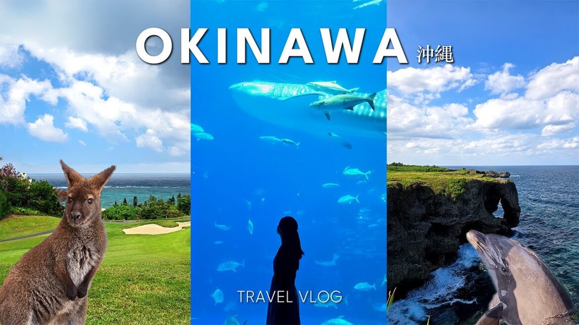 I Followed What Japanese Locals Do in Okinawa I Followed What Japanese Locals Do in Okinawa