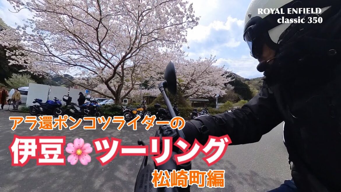 [伊豆ツーリング] #2/アラ還ライダーの松崎町編/[ロイヤルエンフィールド]クラシック350で楽しんだ桜