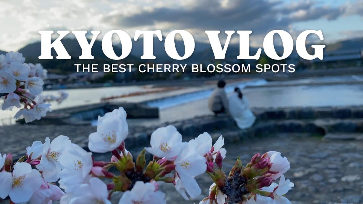 7 FREE CHERRY BLOSSOM SPOTS IN KYOTO (Part 1) | Relaxing Kyoto Vlog 7 FREE CHERRY BLOSSOM SPOTS IN KYOTO (Part 1) | Relaxing Kyoto Vlog
