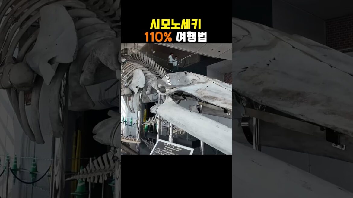 시모노세키 여행법 1분요약