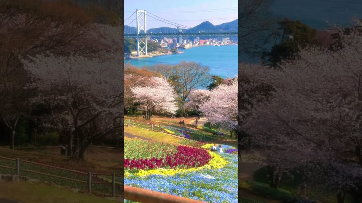 Hinoyama Park / 火の山公園　#travel #japantravel #visitjapan #japan #旅行 #yamaguchi #shimonoseki #山口県 　#下関