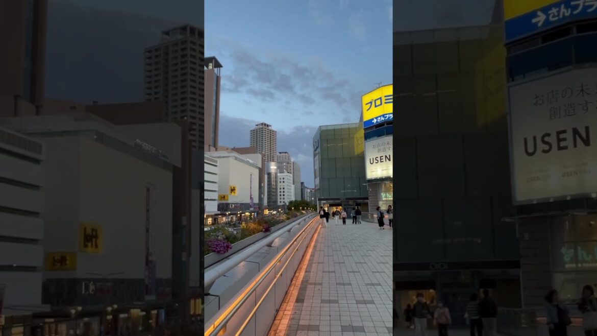 【KOBE】Everyday Common Scene – Sannomiya Station 【KOBE】Everyday Common Scene - Sannomiya Station