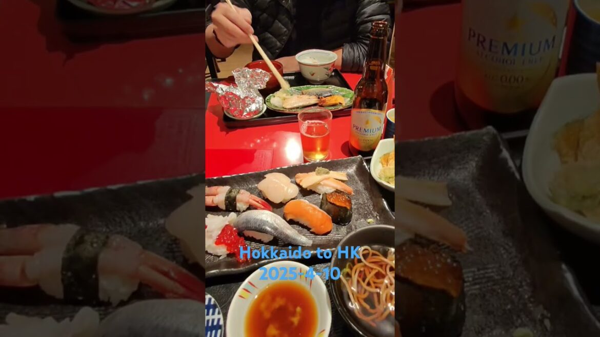 Hokkaido to HK 2025-4-10 #hokkaidojapan #travel #roadtrip #hongkong #cathaypacific #newchitose