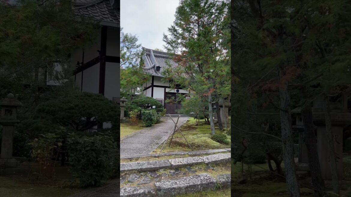 【KYOTO】 Must-See Hidden Gems - Zenne-in Temple