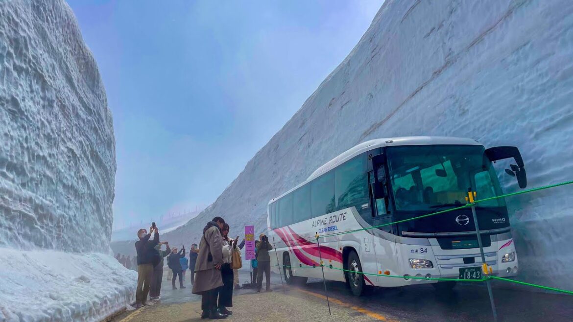 'Yuki no Otani' (Snow Valley) ~Tateyama Kurobe Alpine route  #雪の大谷 #japantravel