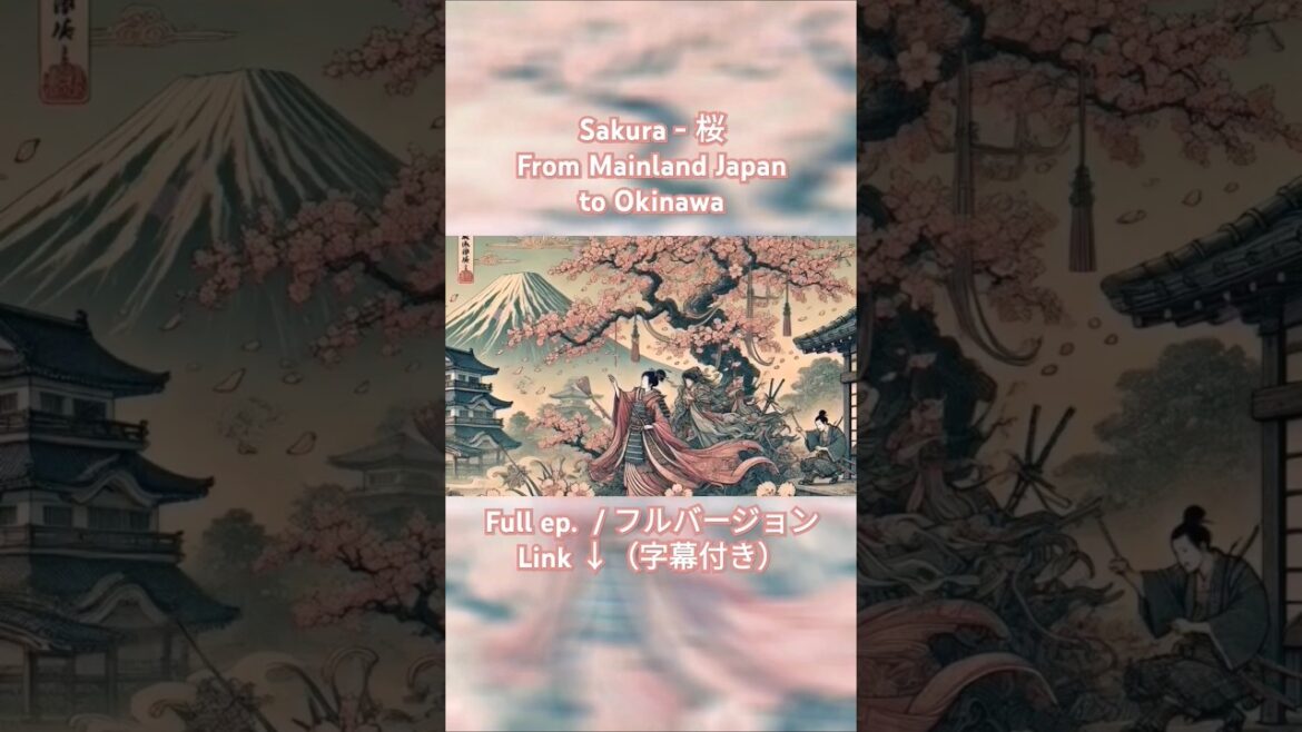 【 #Japanese #Sakura 】🌸 From Mainland #Japan to #Okinawa : #日本 の #桜 🌸【 #Cherry #Blossoms #沖縄 )