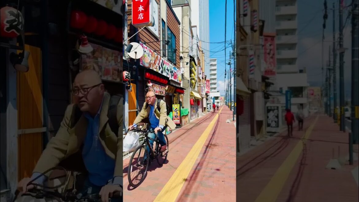 Hakodate Japan 🇯🇵#foryou #japan #japanshorts