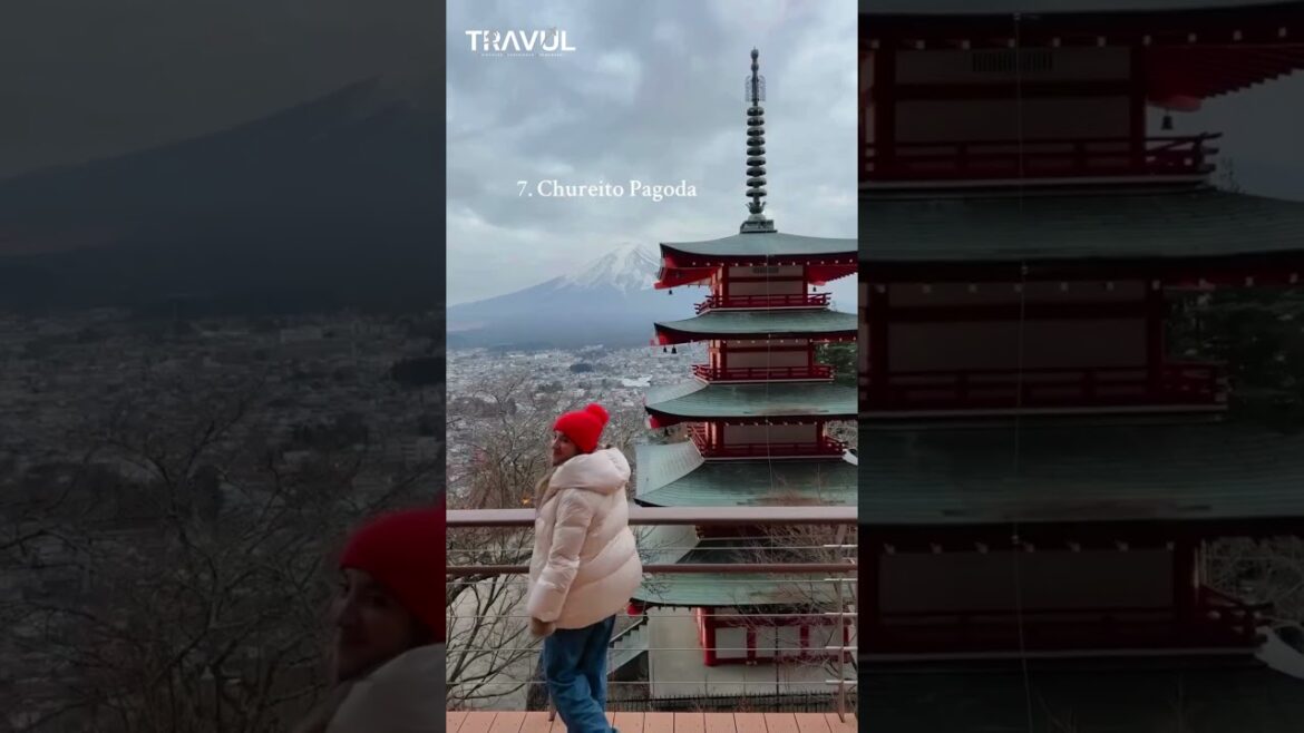 Want to see Mt. Fuji at its best?