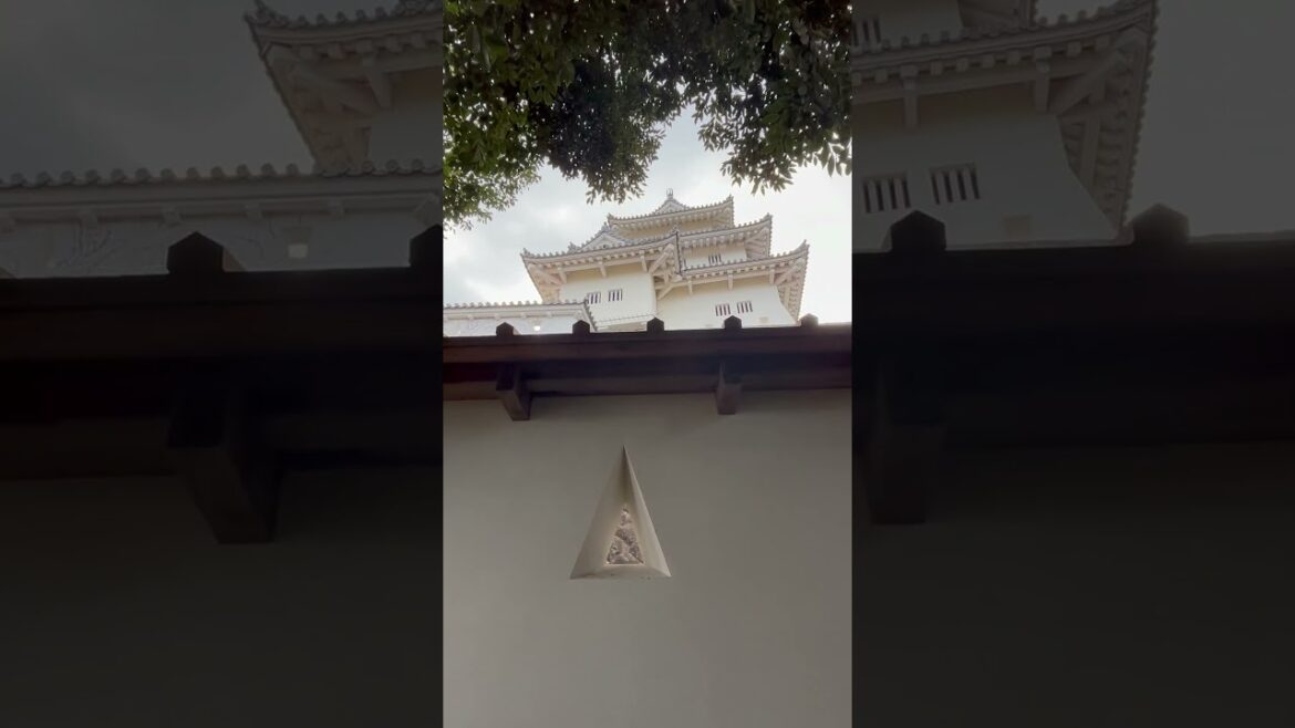 【日本100名城】掛川城　狭間と天守