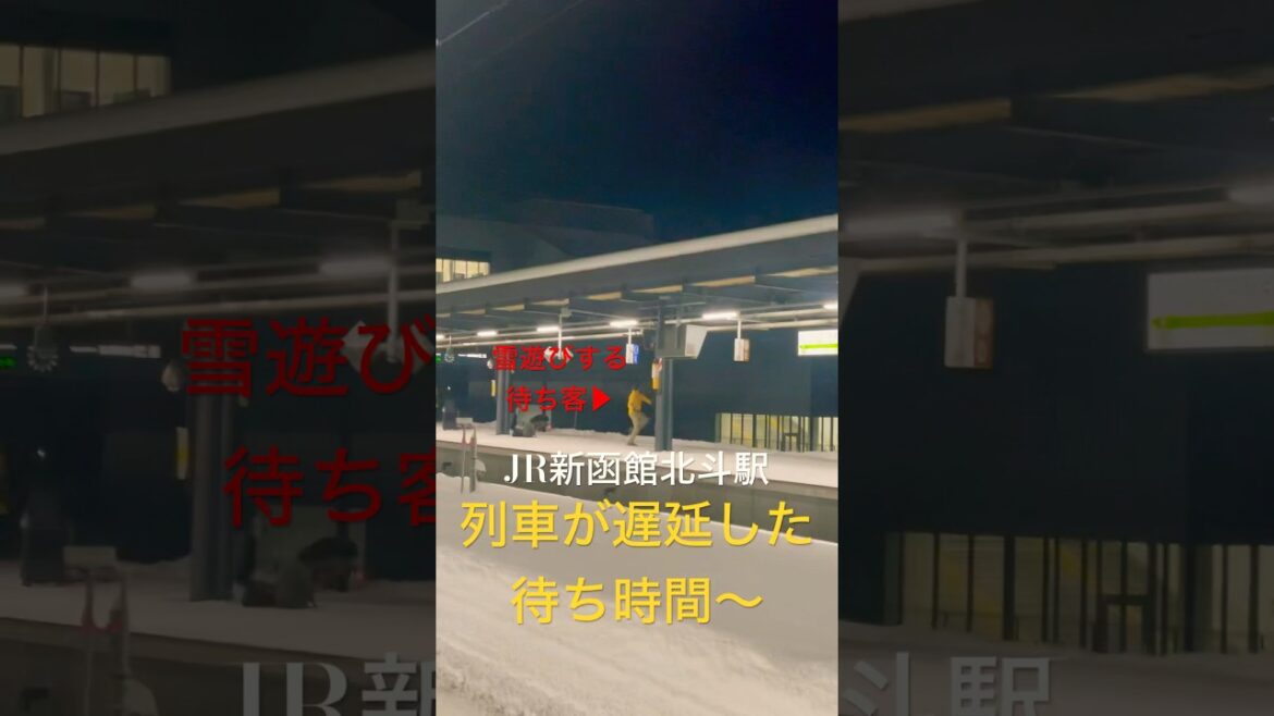 【列車遅延！】待ち時間に雪で遊ぶ観光客www