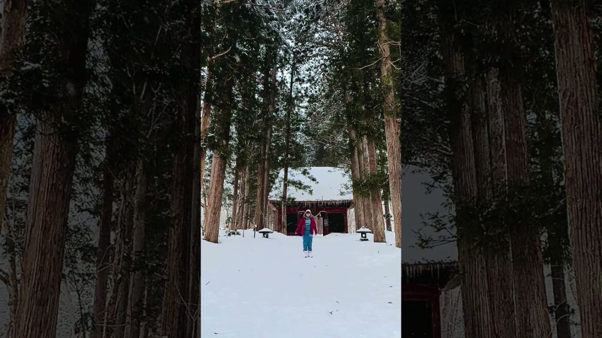 Tsugakushi shrine best place to visit in Nagano #active #shortsviral #spring