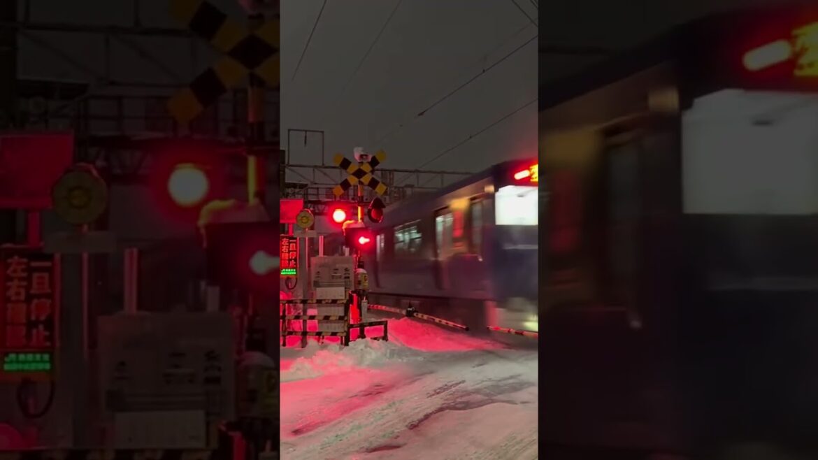 Snowy Level Crossing in Akita #japan #akita #train #levelcrossing