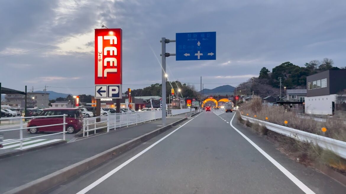 Friday, March 28, 2025 | Toyohashi City towards Gamagori City via National Route 23 Bypass