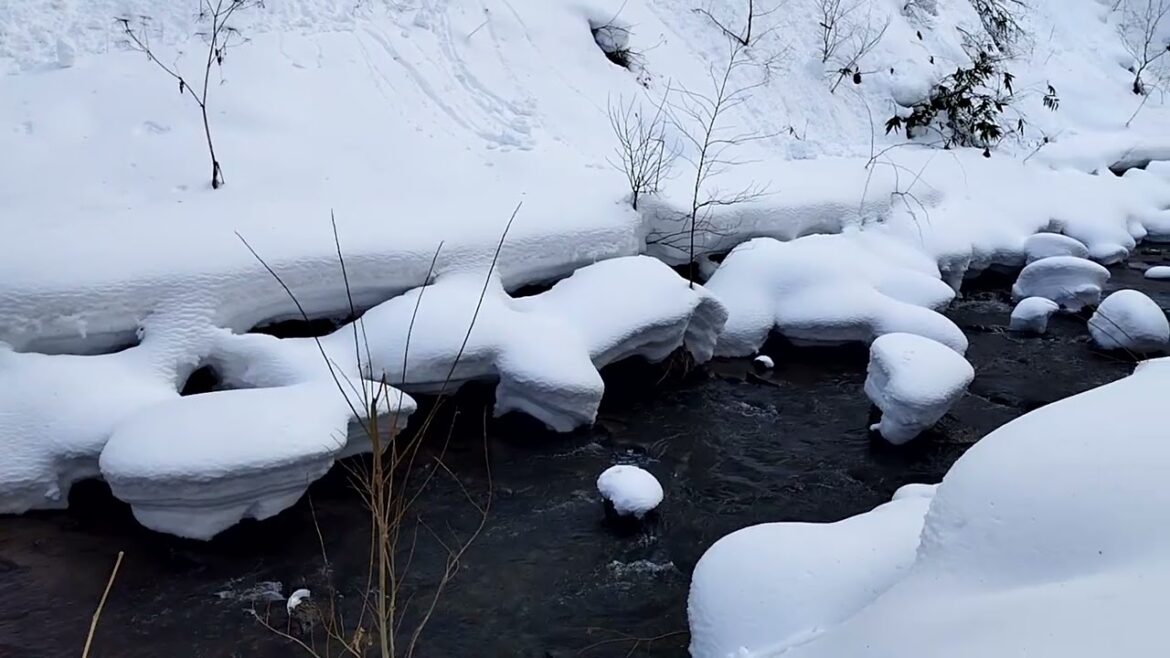 Takino Suzuran Hillside Park And Ashiribetsu Falls           #Sapporo #Hokkaido #Japan #Vlog #Travel