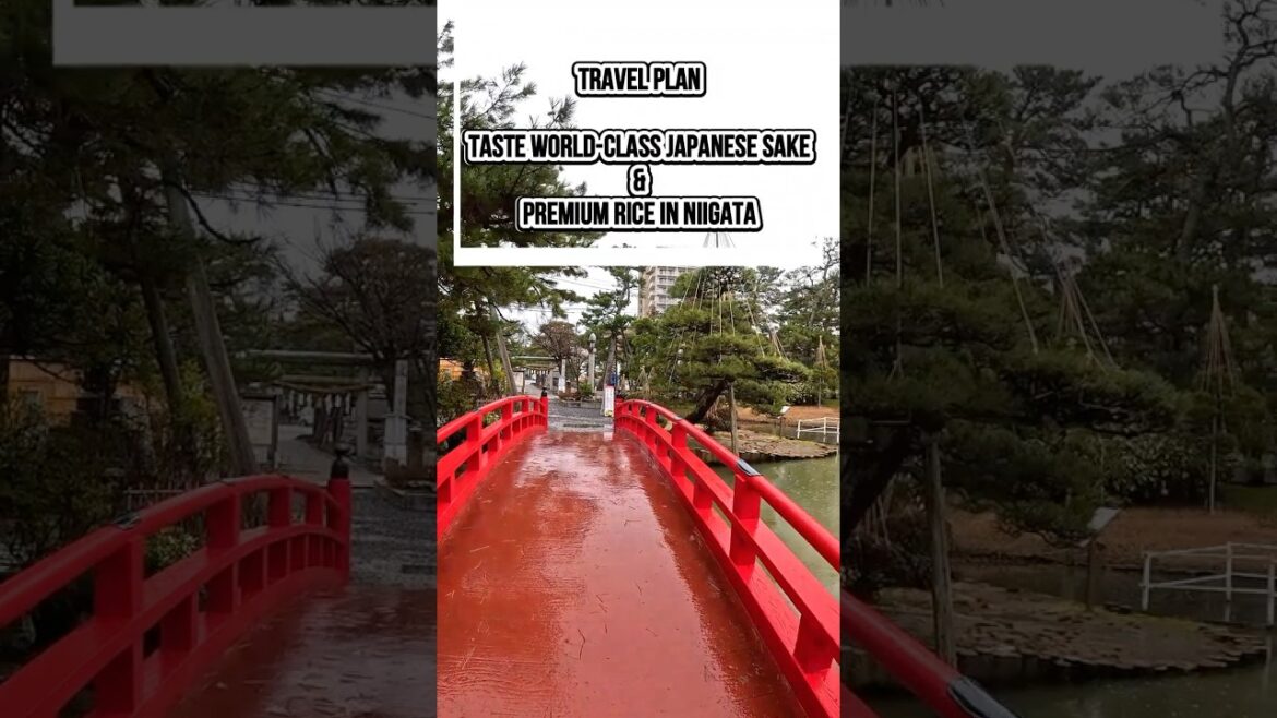 Niigata Travel Plan | Taste World-Class Japanese Sake & Premium Rice Niigata Travel Plan | Taste World-Class Japanese Sake & Premium Rice
