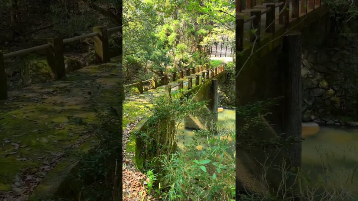 Japanese countryside: Nukudani, Minamata City, Kumamoto Pref, Japan. #japaneselandscape #travel