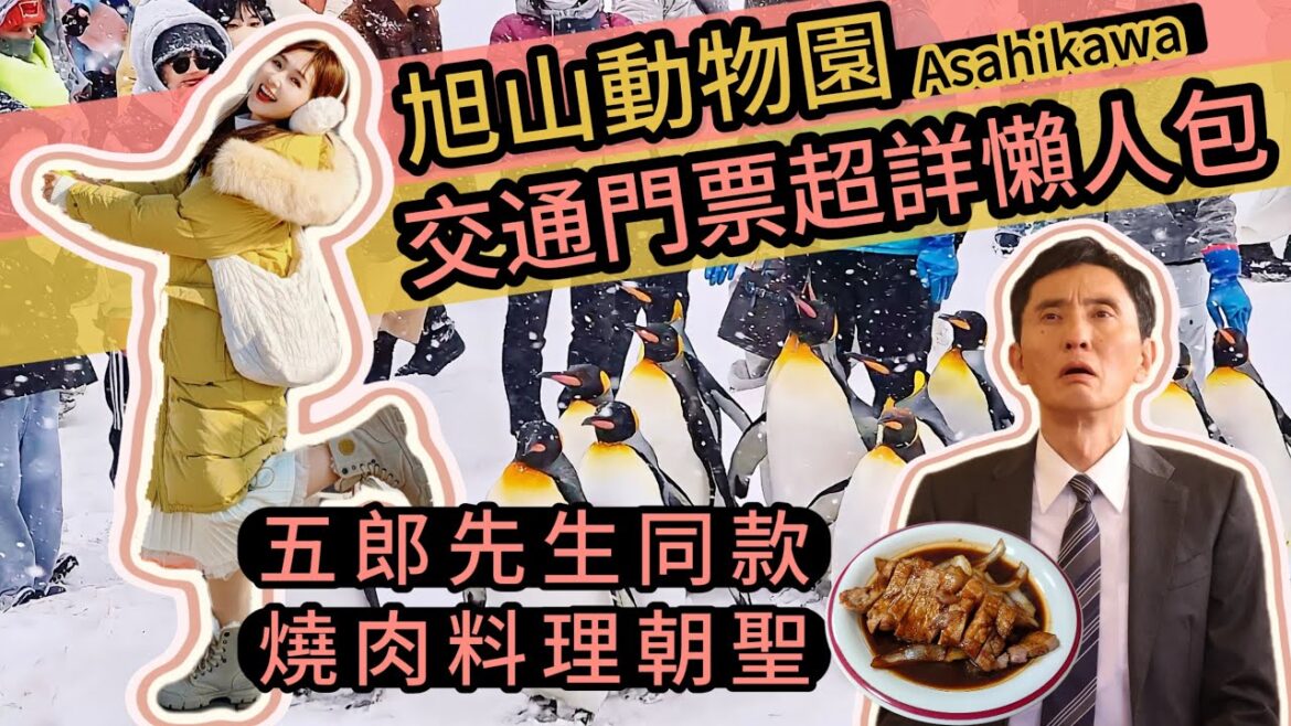【日本🇯🇵】旭川超好玩！旭山动物园看萌炸🐧企鹅雪地漫步✨ ⏩买票到坐车全程实拍游玩攻略 ⏩「孤独的美食家」五郎先生同款料理朝圣！⚡️好吃不好吃？⏩附上JR PASS周游券机器换票操作教学📽️🔑！