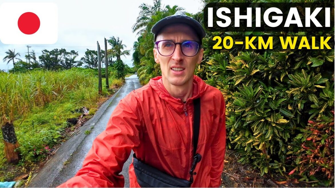 Ishigaki Island Isn’t What I Expected (it’s better) Ishigaki Island Isn't What I Expected (it's better)