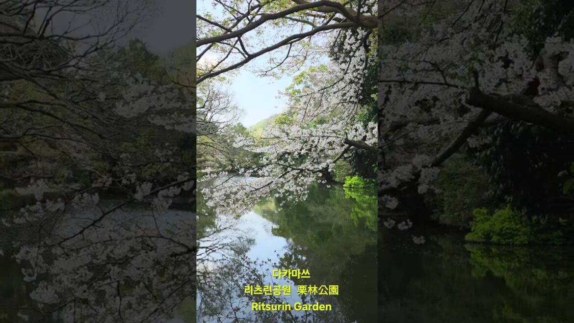 Ritsurin Garden / 리츠린공원 / 栗林公園